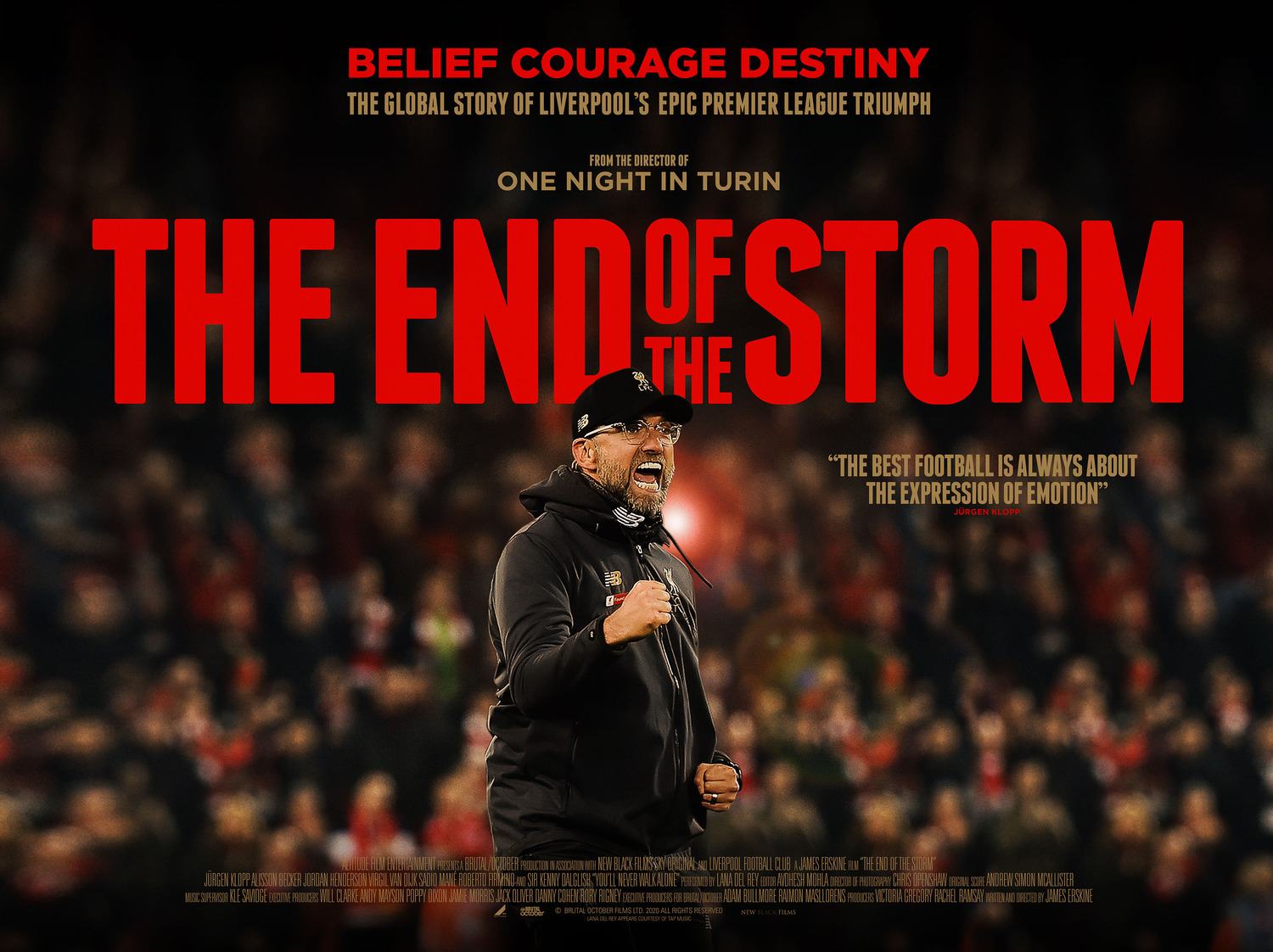 Extra Large Movie Poster Image for The End of the Storm 