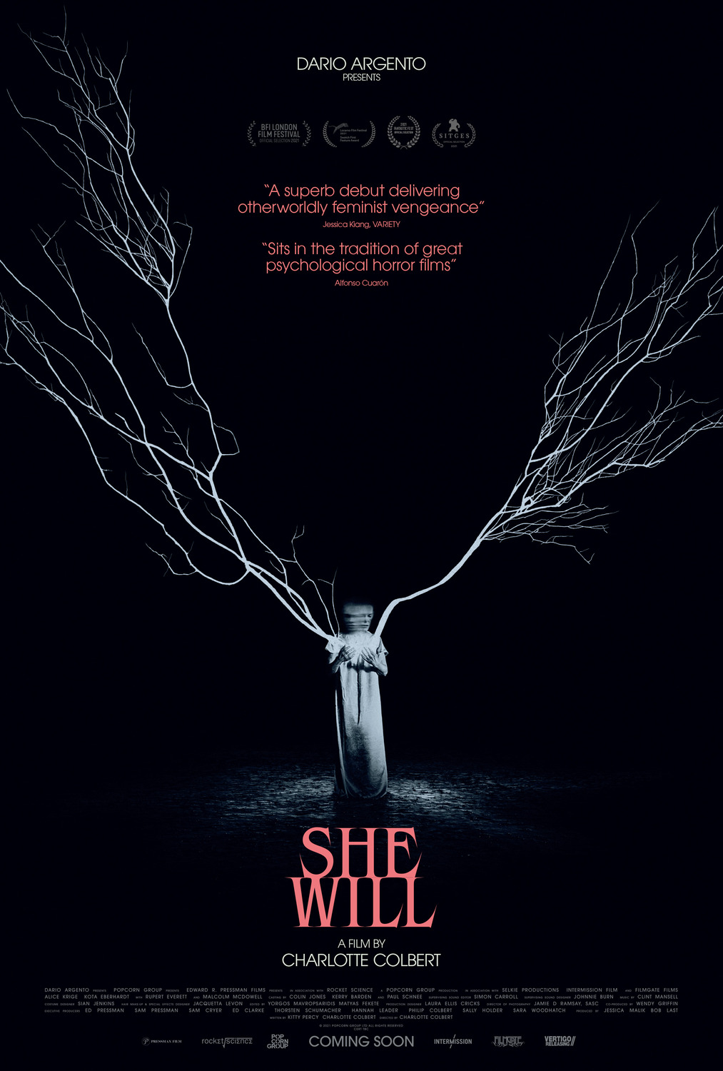 Extra Large Movie Poster Image for She Will (#2 of 2)