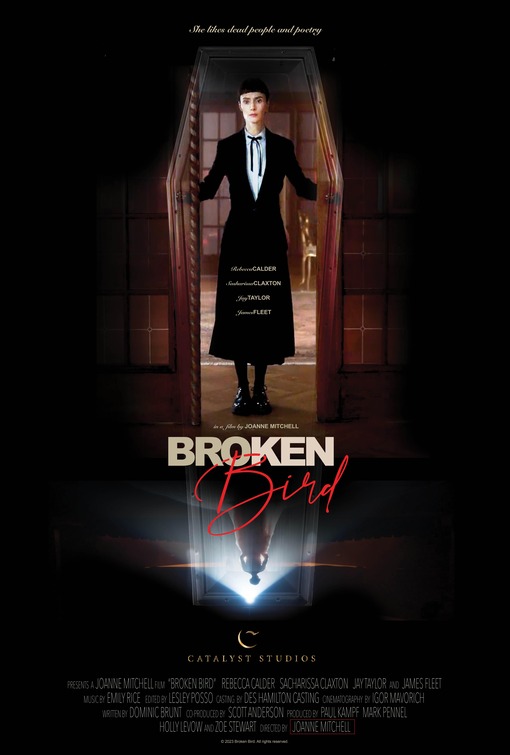 Broken Bird Movie Poster