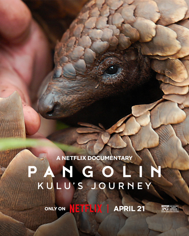 Pangolin: Kulu's Journey Movie Poster