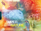 Super Nature (2026) Thumbnail