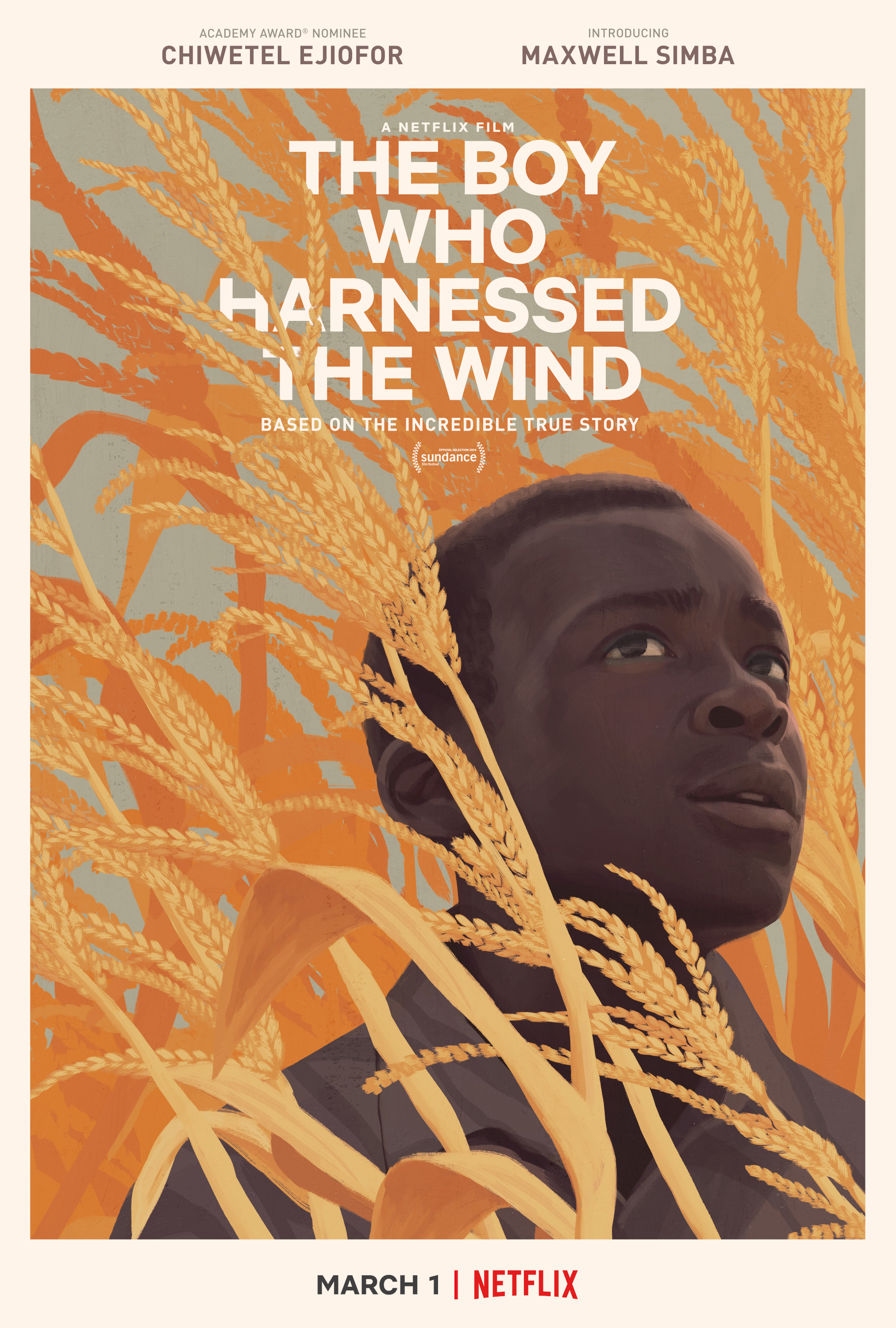 Mega Sized TV Poster Image for The Boy Who Harnessed the Wind (#2 of 2)