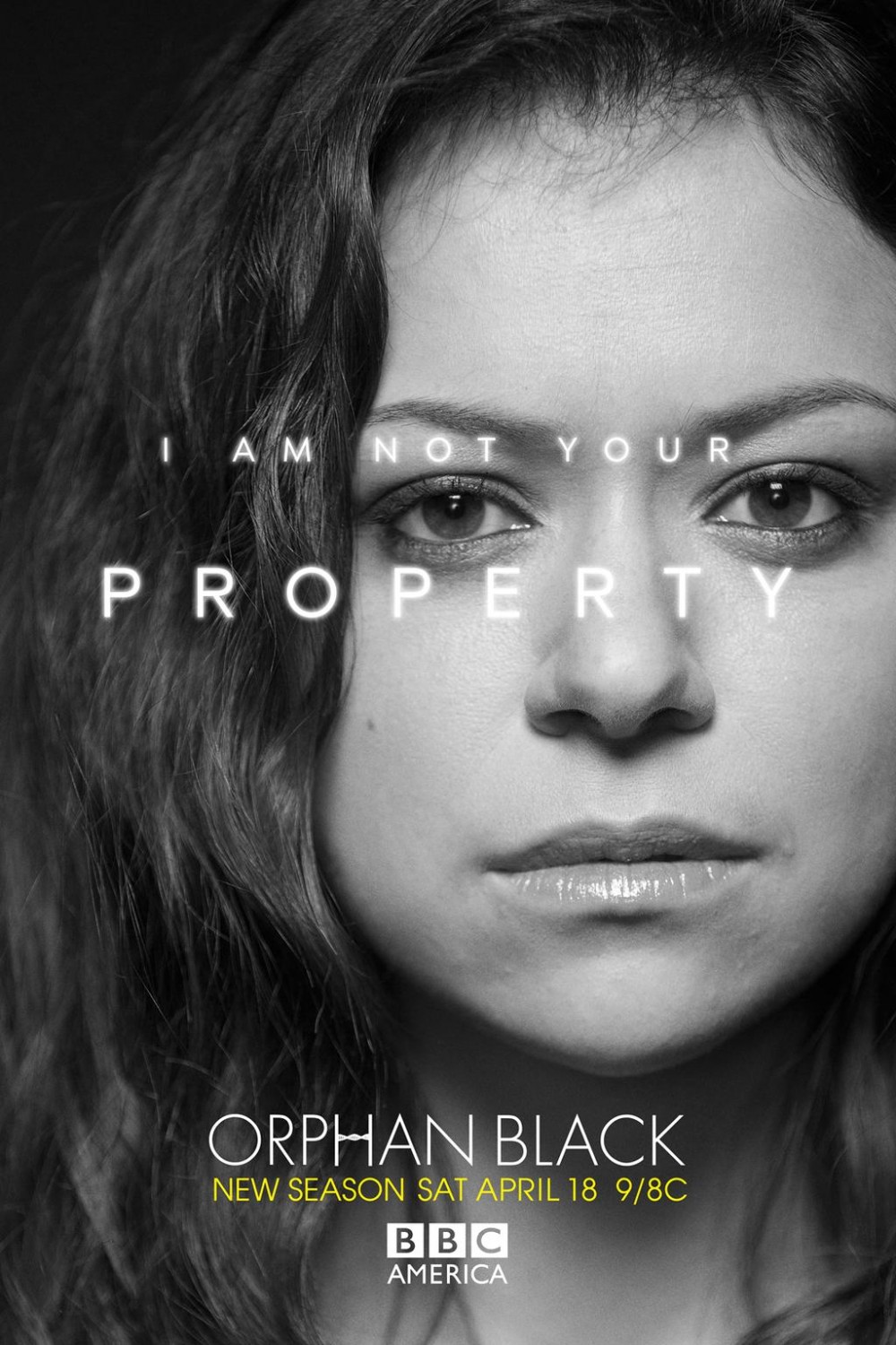 Extra Large TV Poster Image for Orphan Black (#7 of 12)