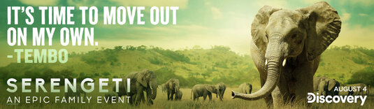 Serengeti Movie Poster