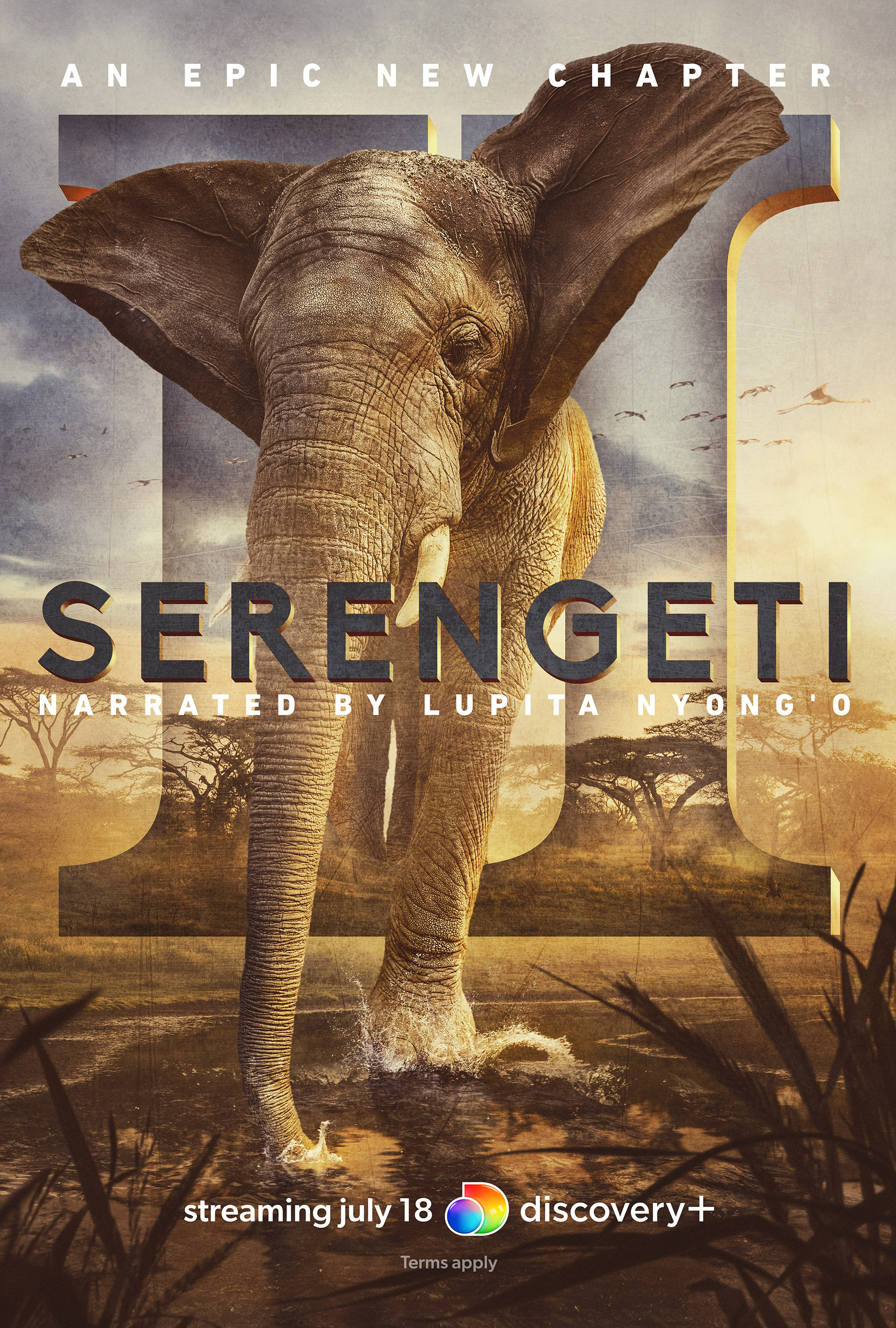 Mega Sized TV Poster Image for Serengeti (#7 of 8)