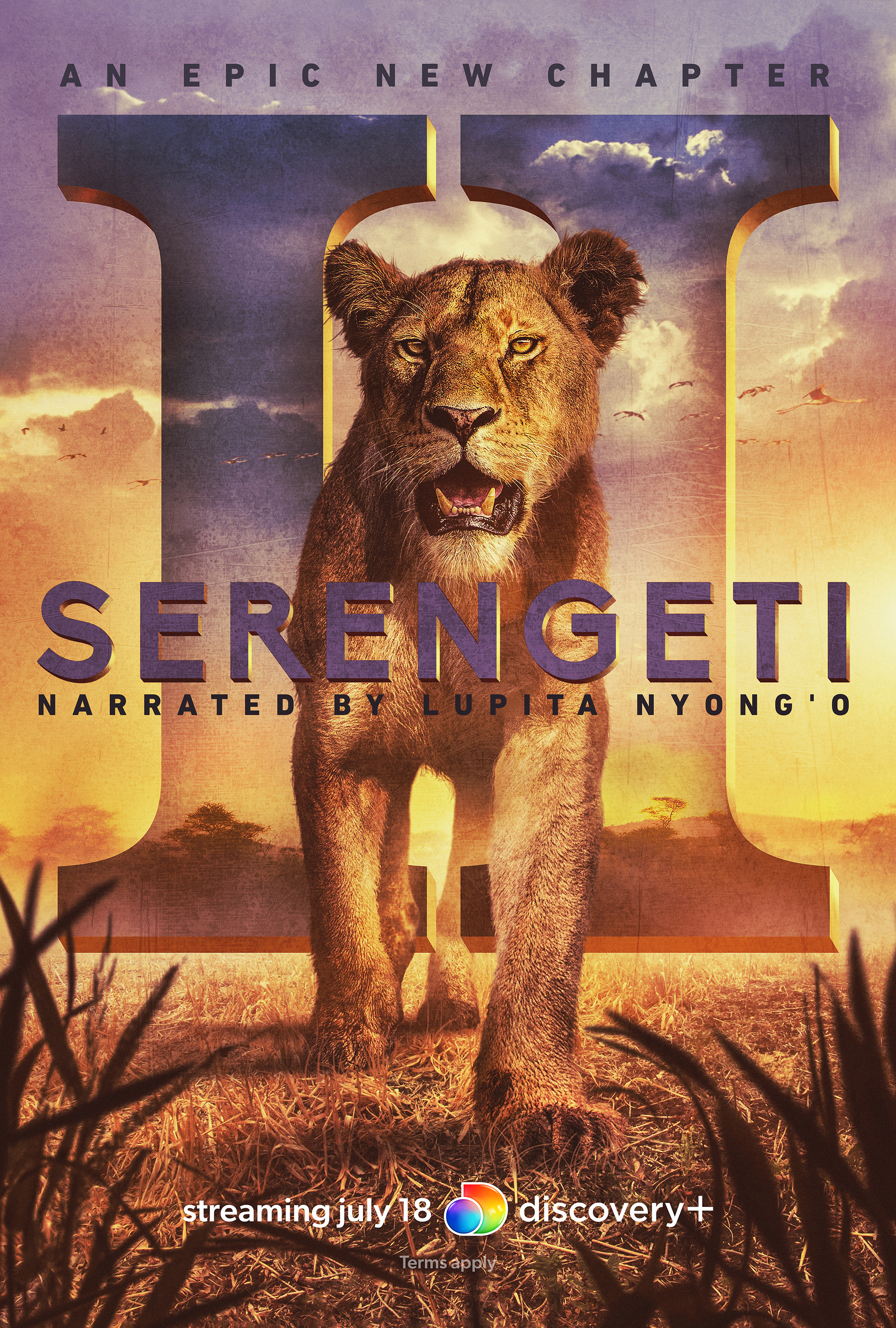 Mega Sized TV Poster Image for Serengeti (#8 of 8)