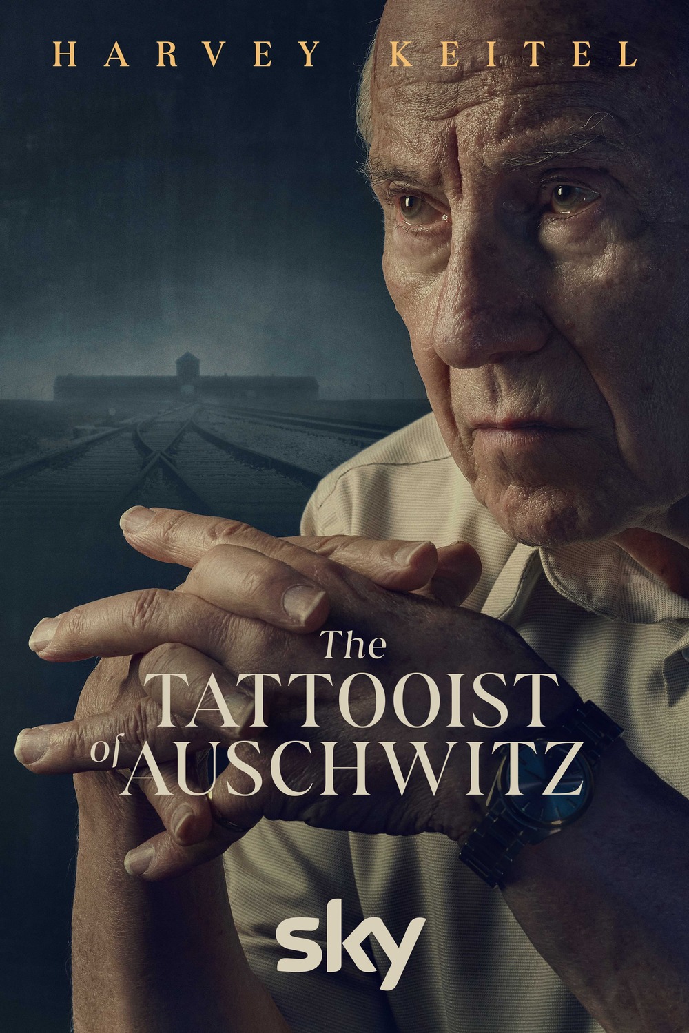 Extra Large TV Poster Image for The Tattooist of Auschwitz (#5 of 6)