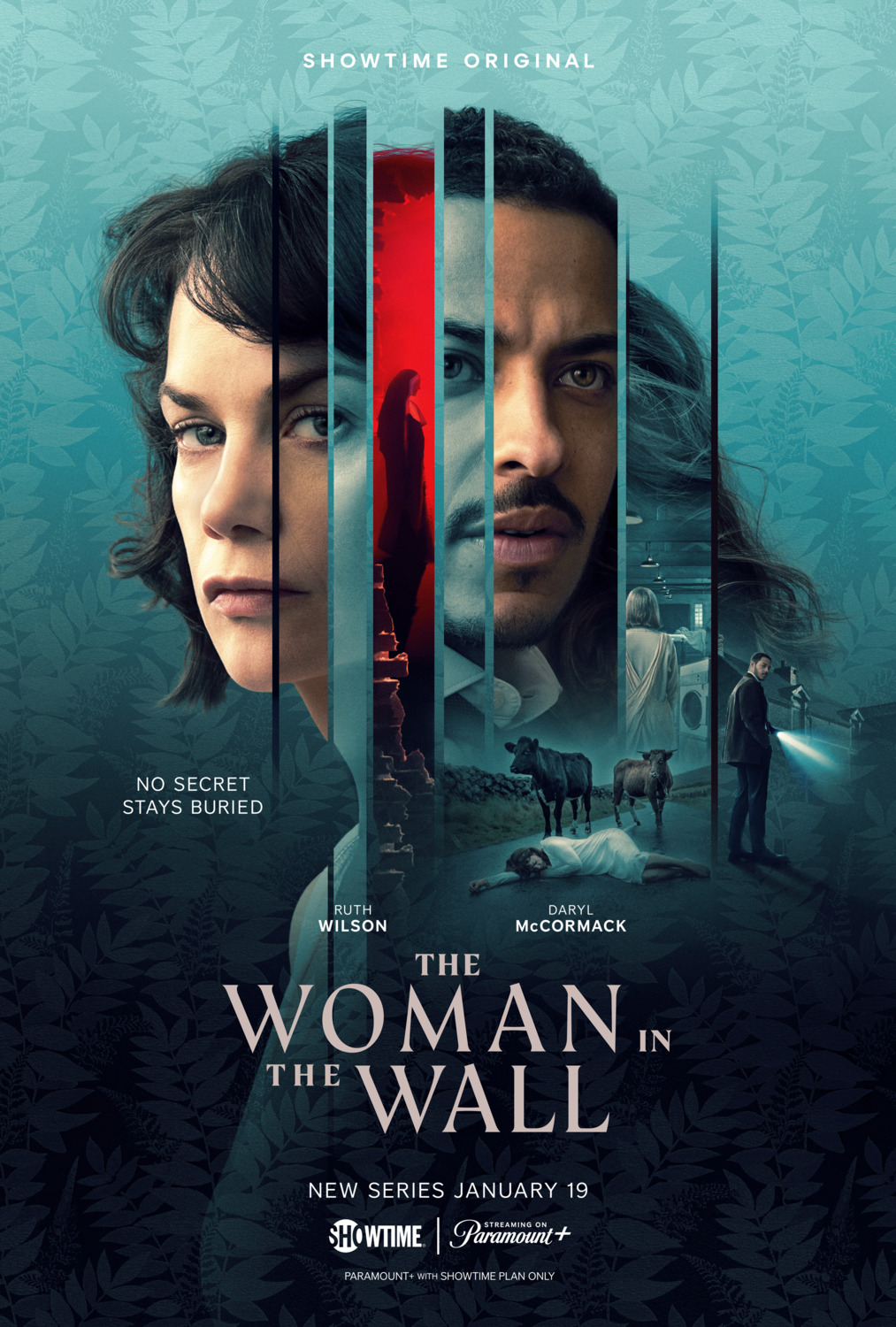 Extra Large TV Poster Image for The Woman in the Wall 