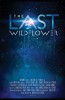 The Last Wildflower