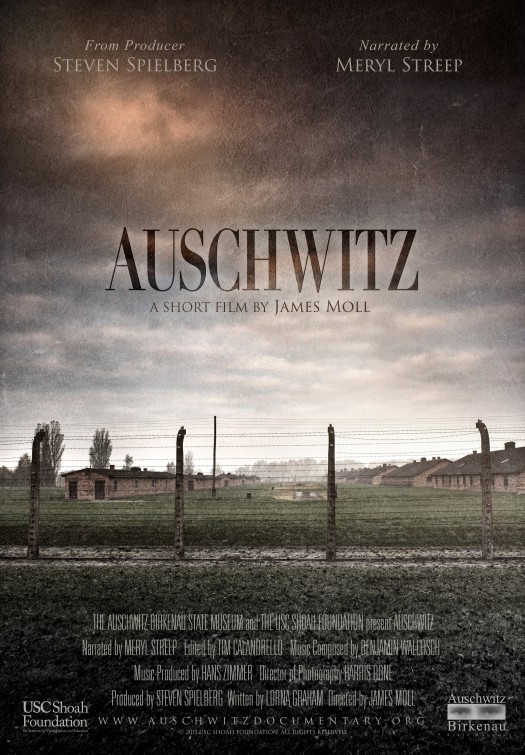 Auschwitz Short Film Poster