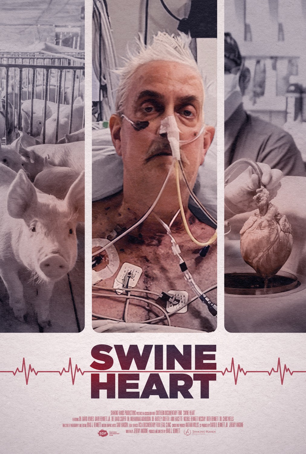 Extra Large Movie Poster Image for Swine Heart