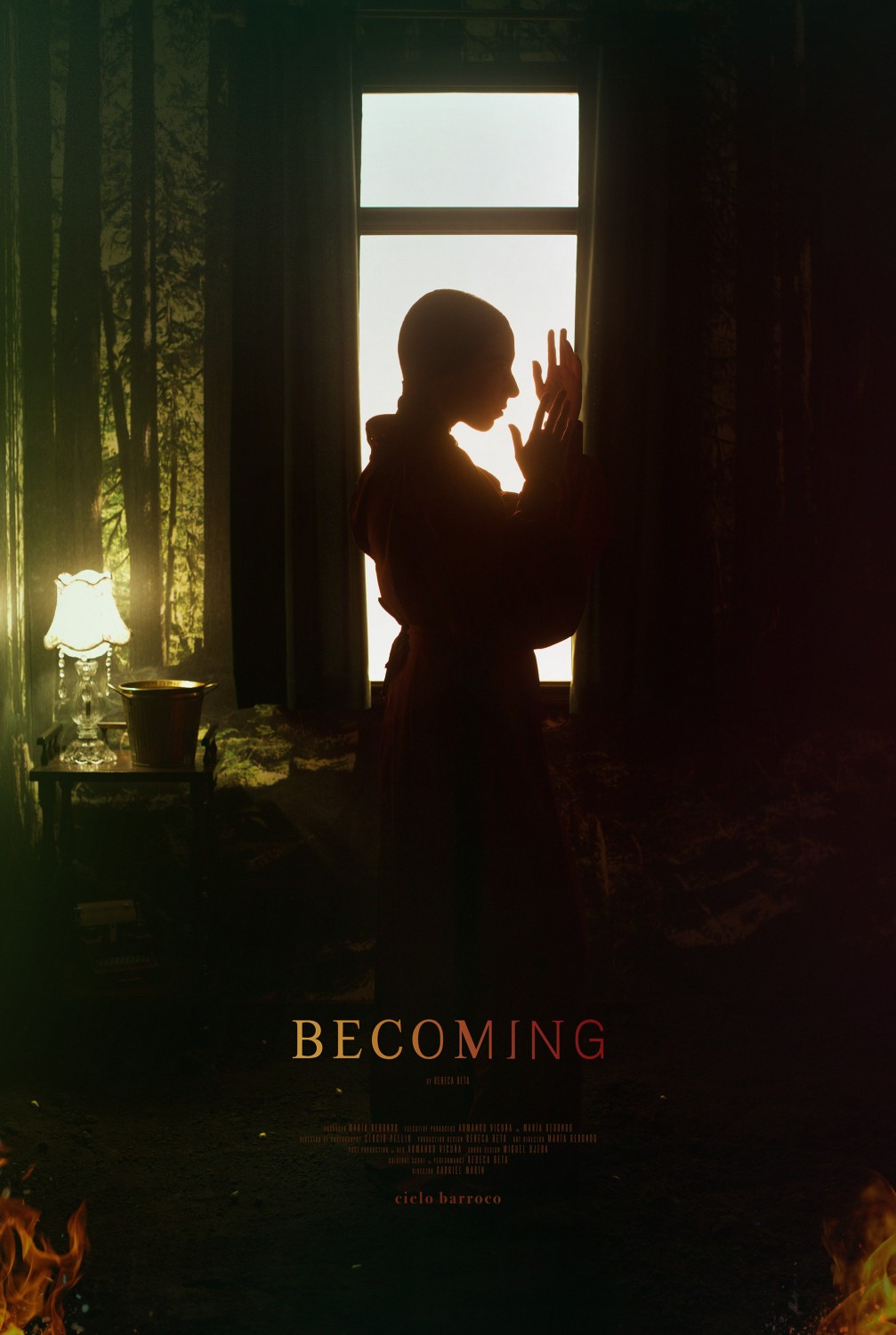 Extra Large Movie Poster Image for Devenir