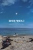 Sheephead
