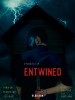 Entwined - The possibilities are endless