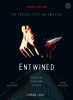 Entwined - The possibilities are endless