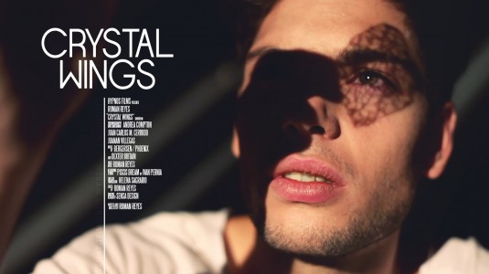 Click to View Extra Large Poster Image for Crystal Wings Crystal Wings Short Film Poster