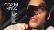 Crystal Wings