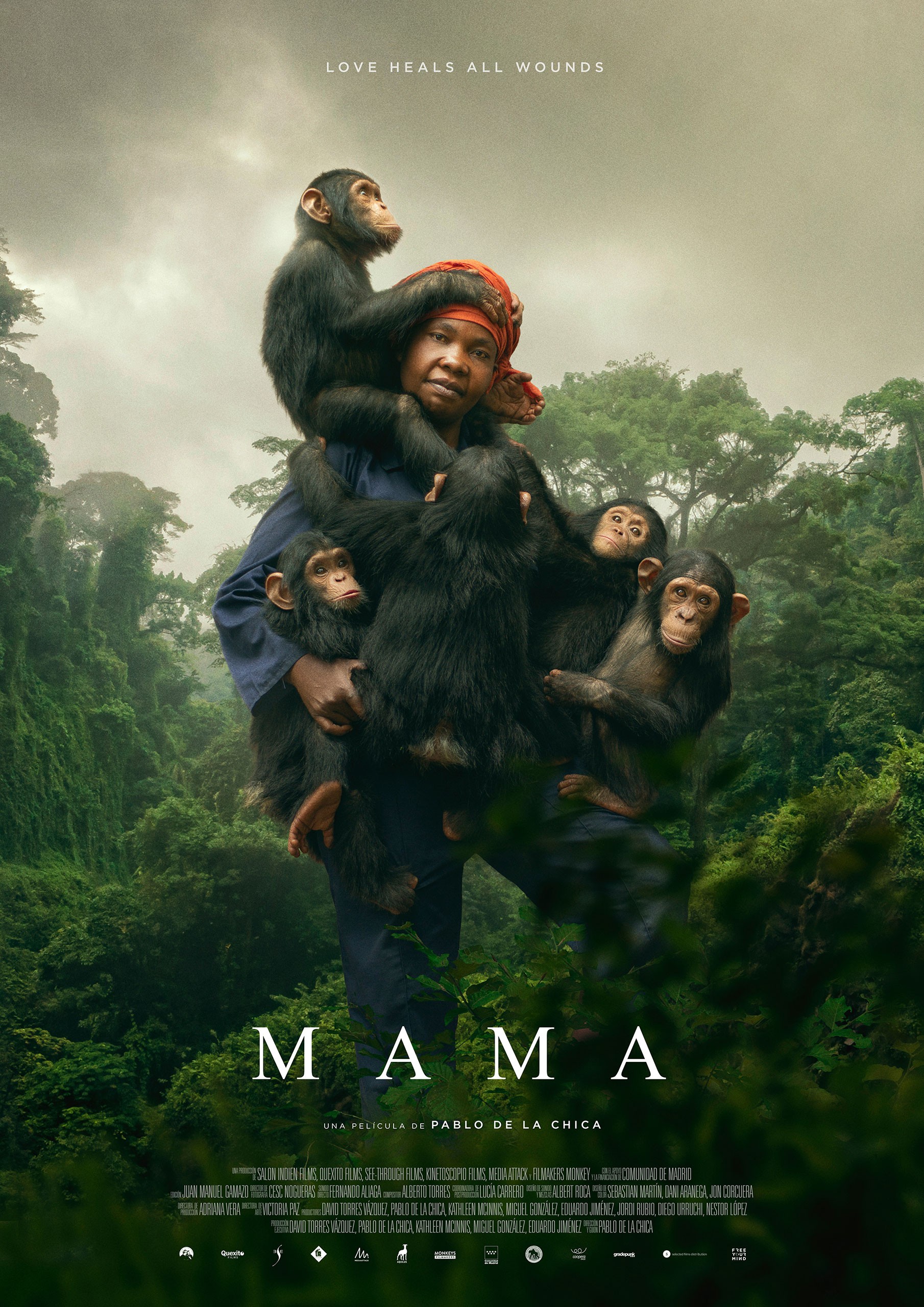 Mama Mega Sized Movie Poster Image Internet Movie Poster Awards Gallery Mama Mega Sized Movie Poster Image Internet Movie Poster Awards Gallery
