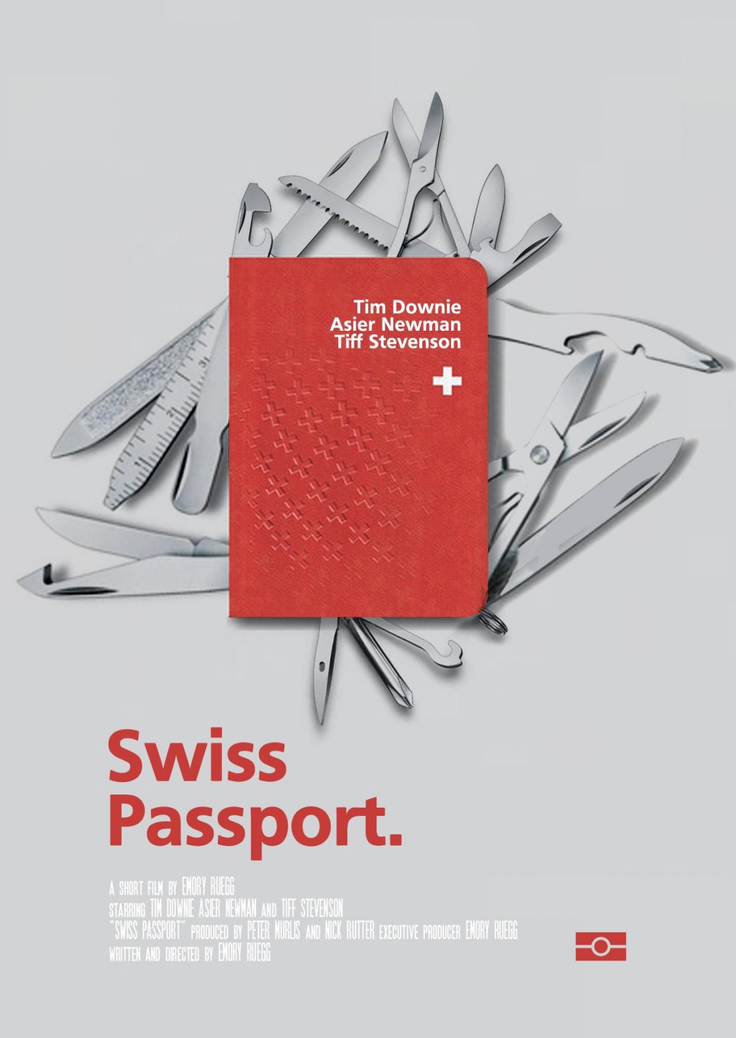 Extra Large Movie Poster Image for Swiss Passport
