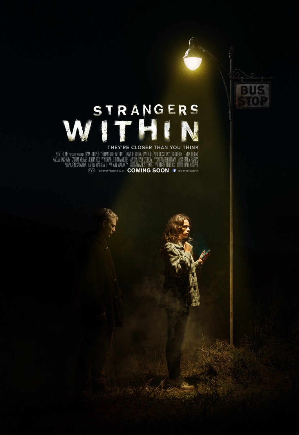 Extra Large Movie Poster Image for Strangers Within