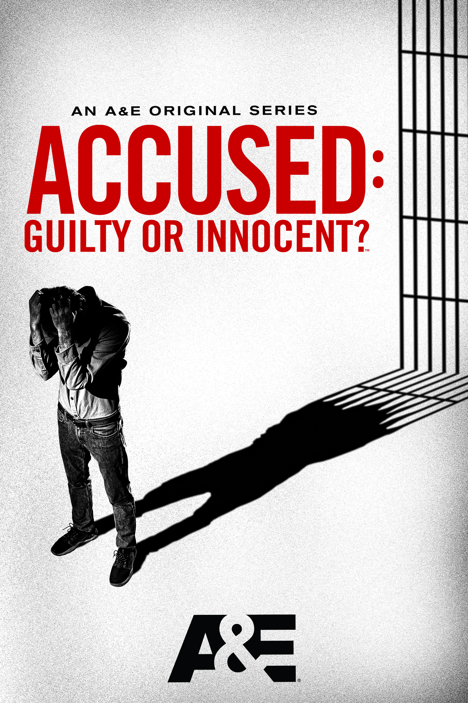 Mega Sized TV Poster Image for Accused: Guilty or Innocent? (#2 of 2)