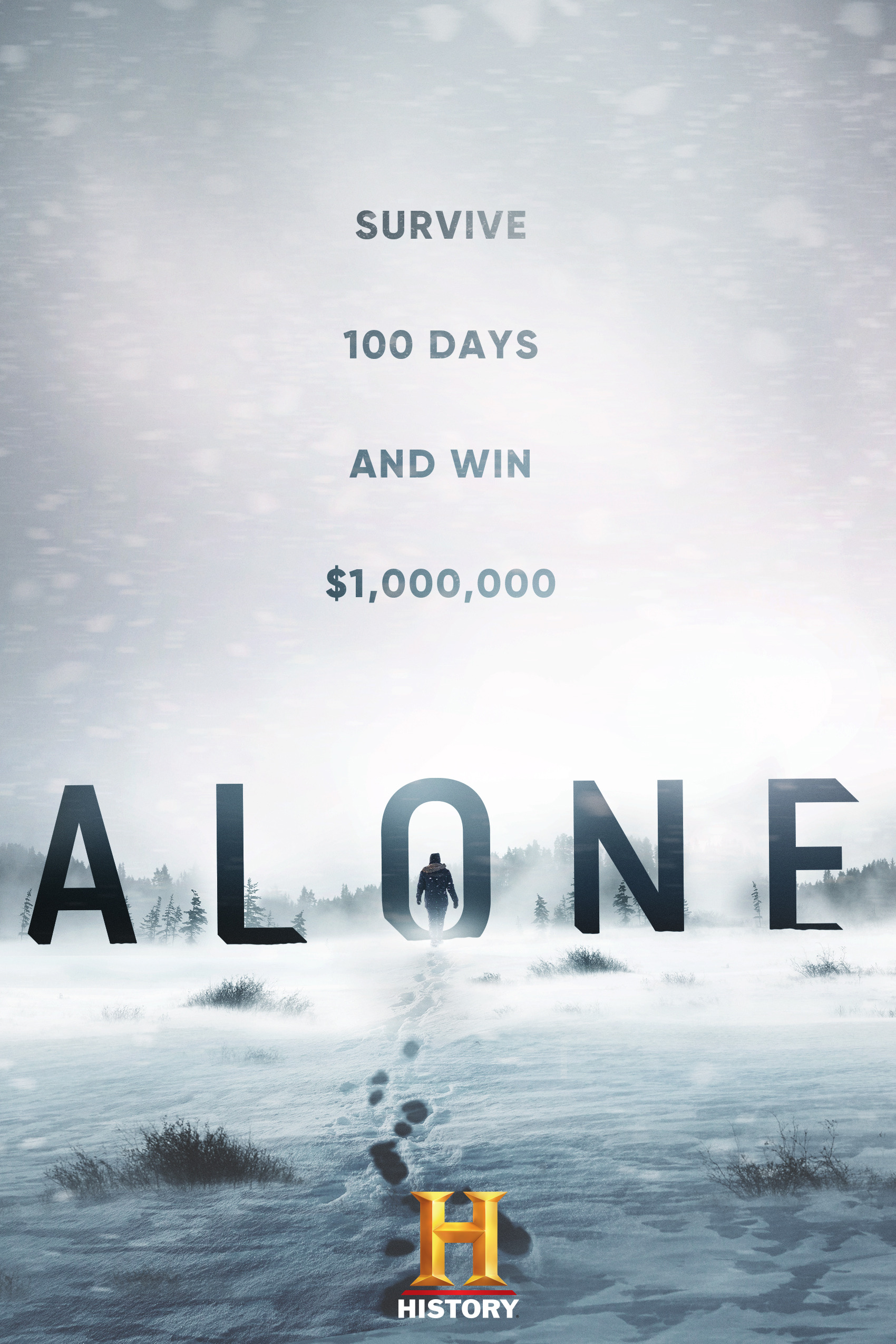 Mega Sized TV Poster Image for Alone (#4 of 4)