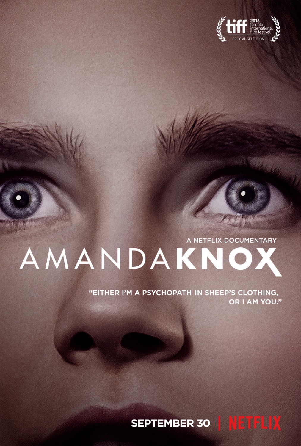 Extra Large Movie Poster Image for Amanda Knox 