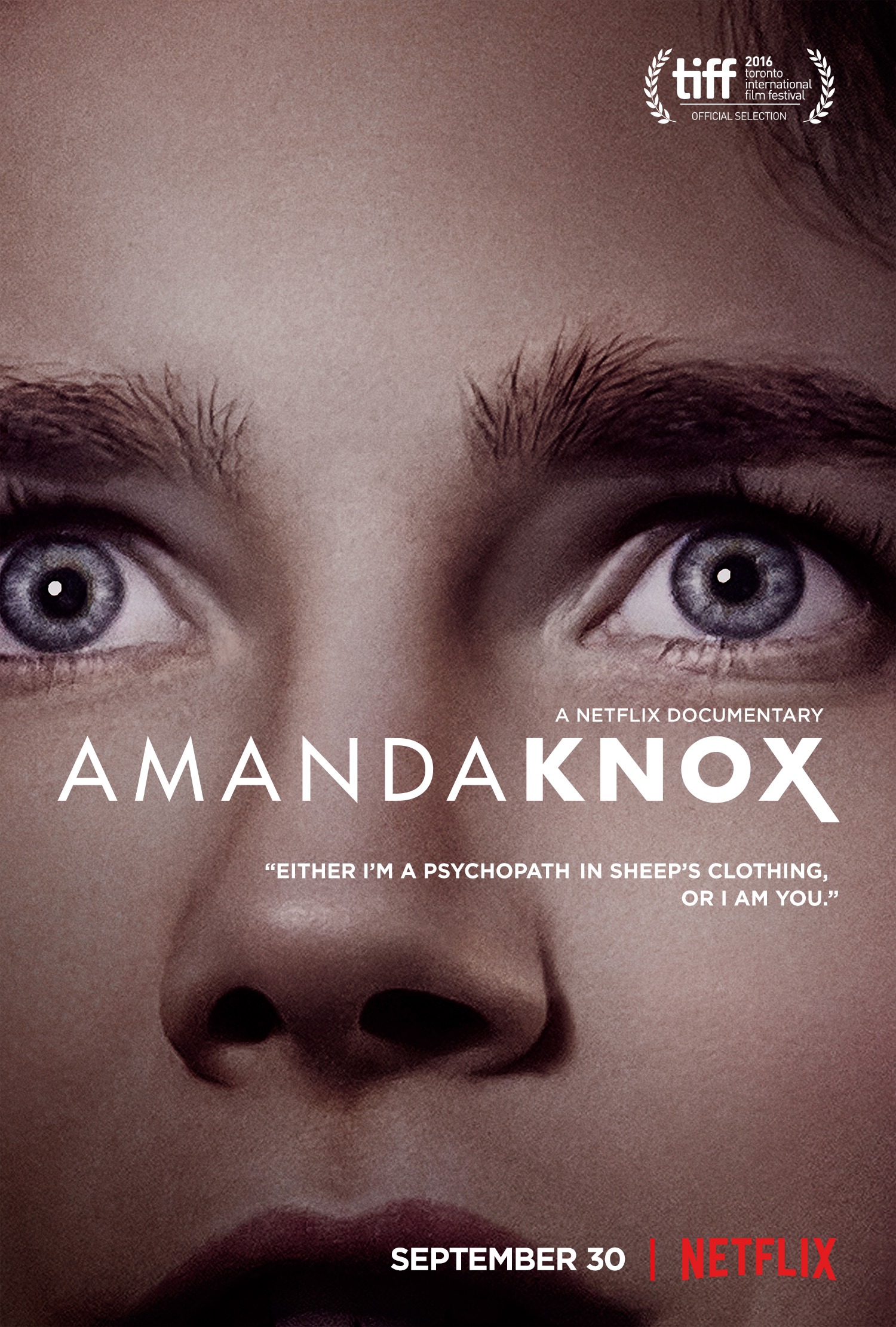 Mega Sized Movie Poster Image for Amanda Knox 