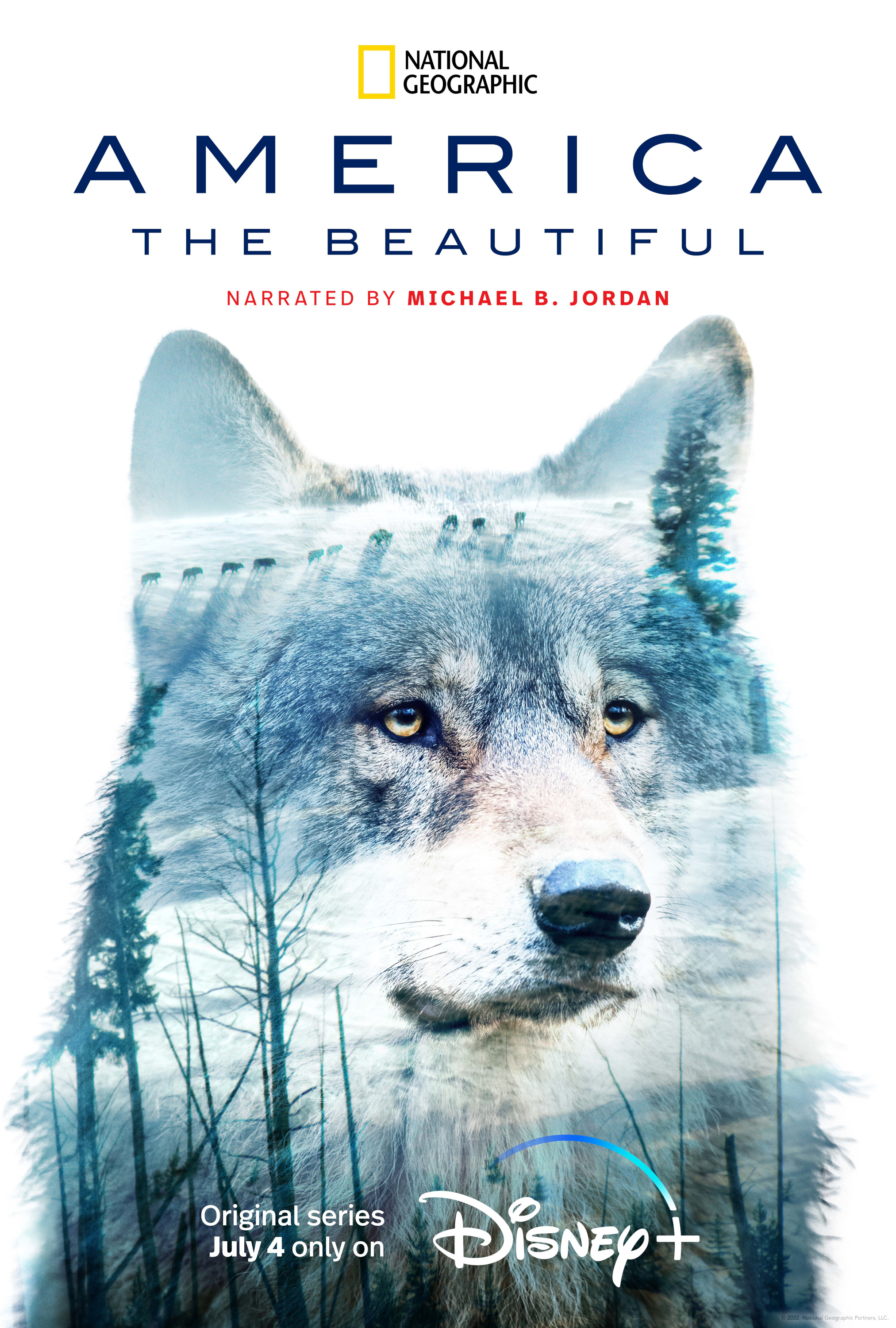 Mega Sized TV Poster Image for America the Beautiful (#12 of 13)
