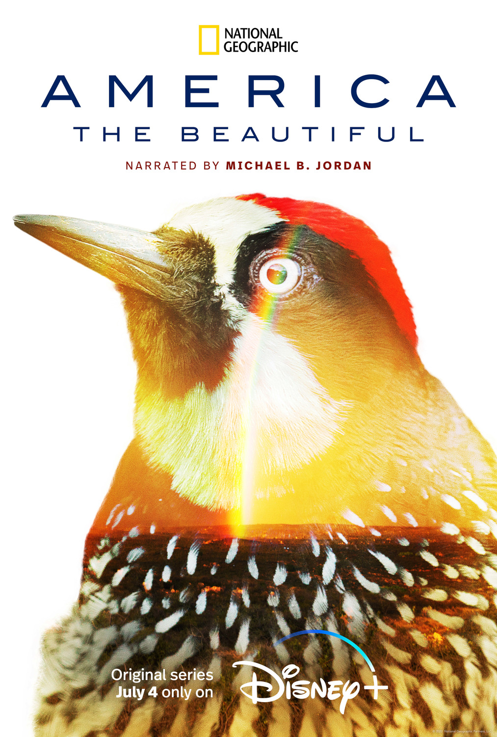 Extra Large TV Poster Image for America the Beautiful (#13 of 13)