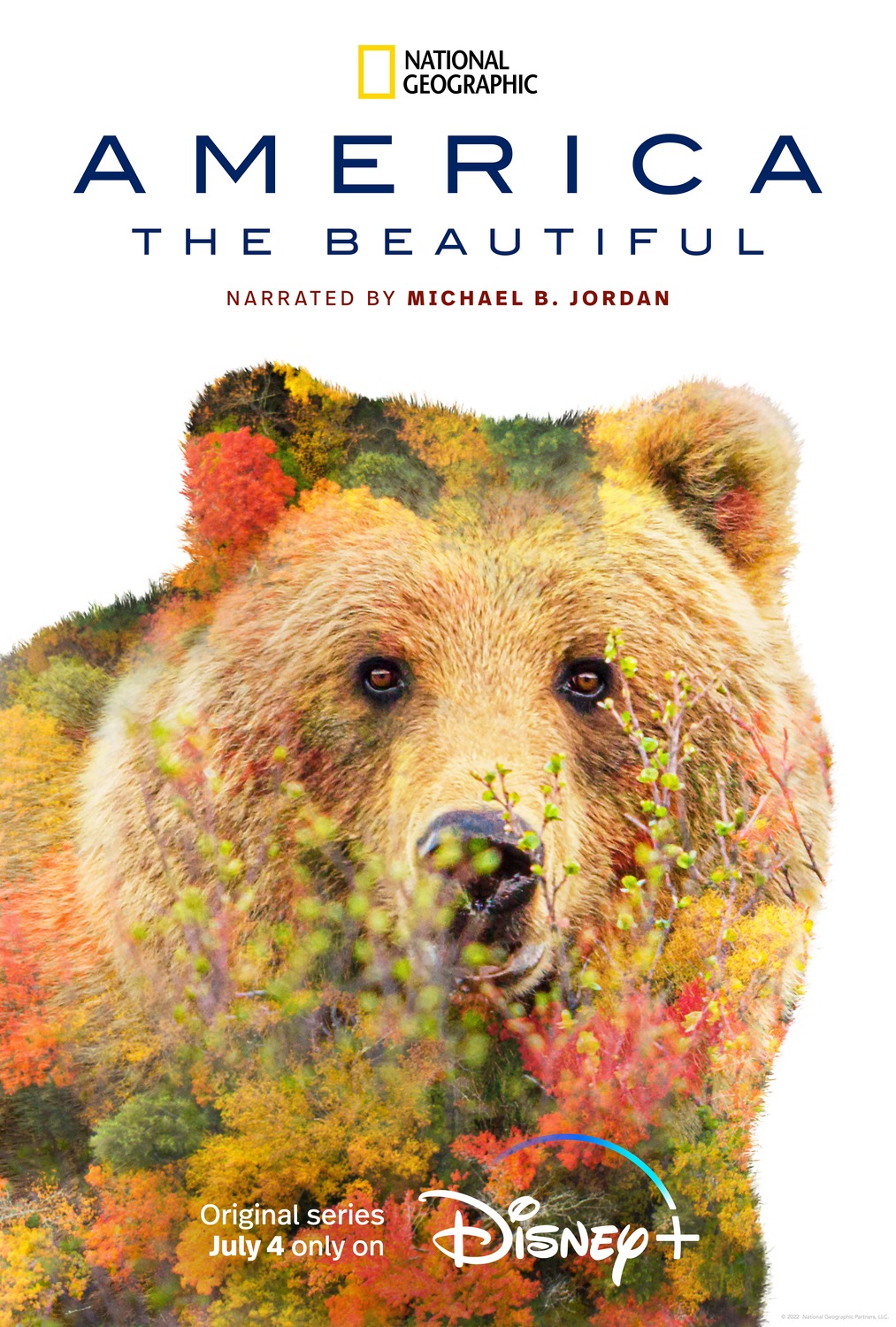 Extra Large TV Poster Image for America the Beautiful (#2 of 13)