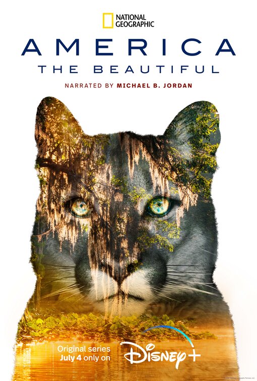 America the Beautiful Movie Poster