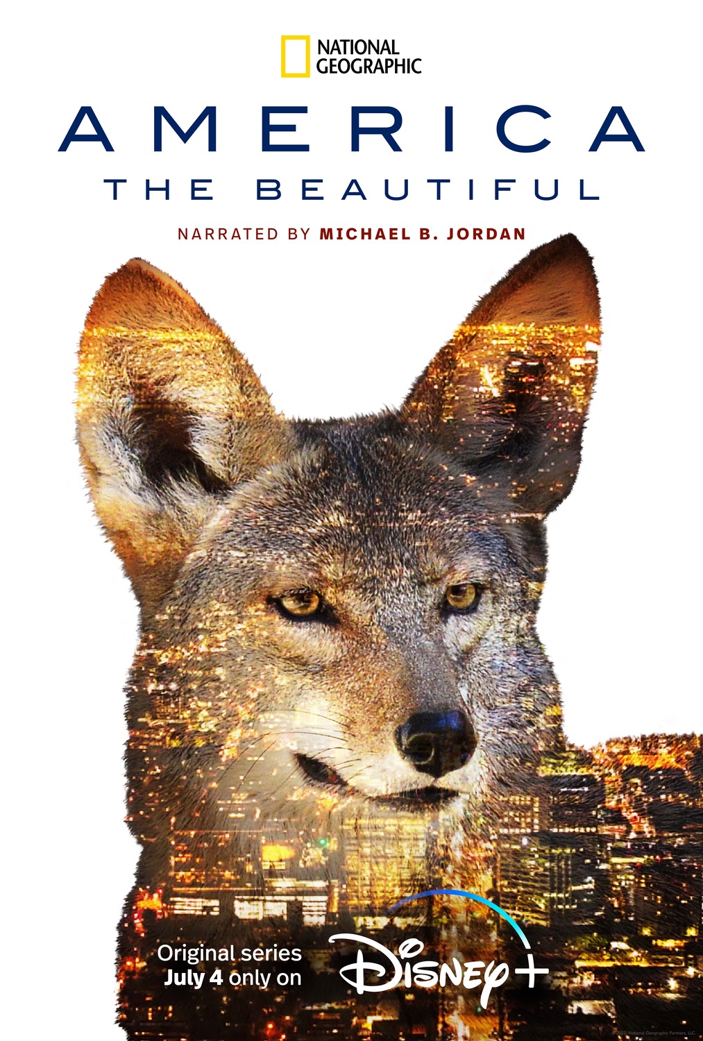 Extra Large TV Poster Image for America the Beautiful (#4 of 13)