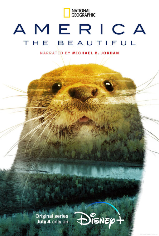 America the Beautiful Movie Poster