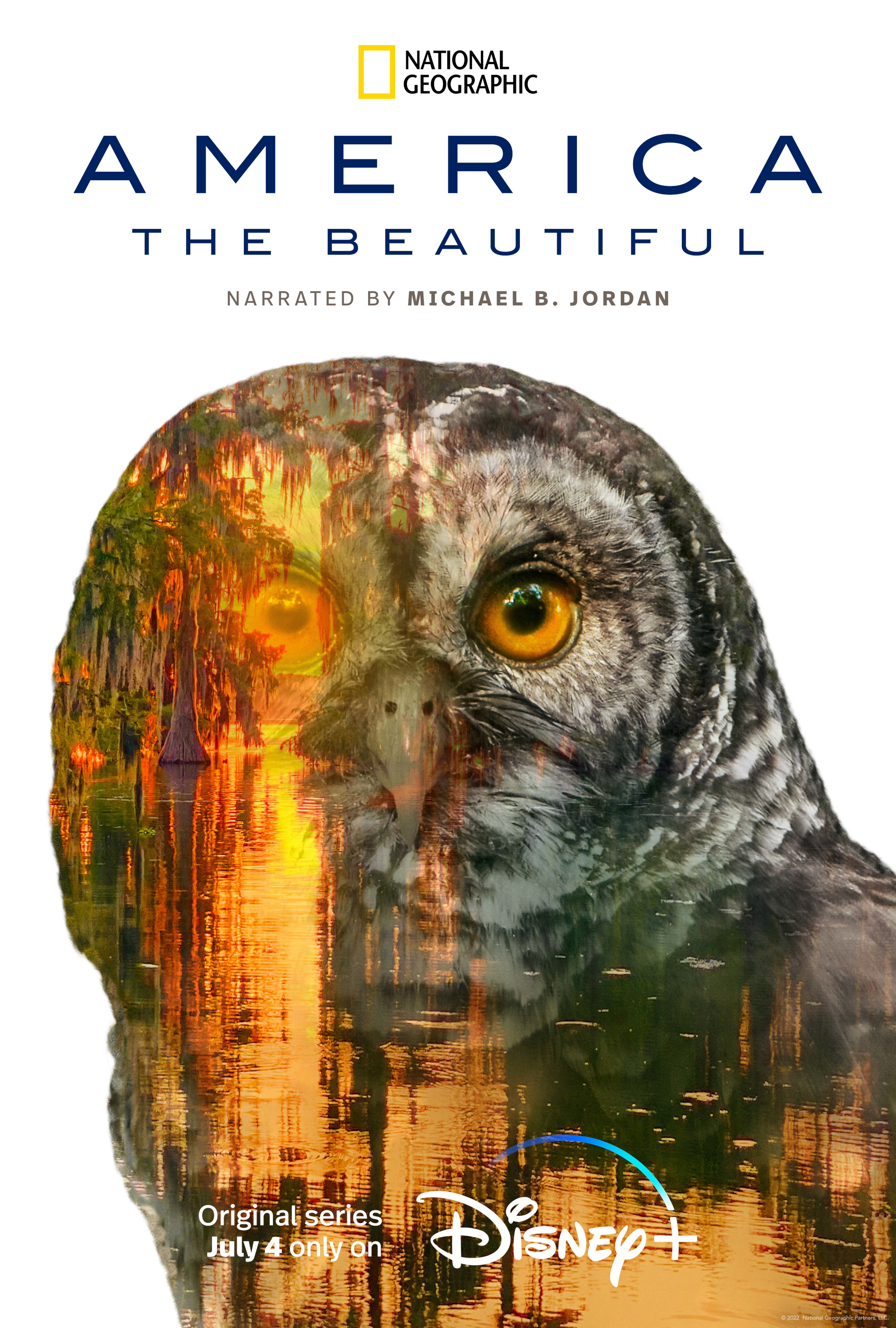 Mega Sized TV Poster Image for America the Beautiful (#9 of 13)