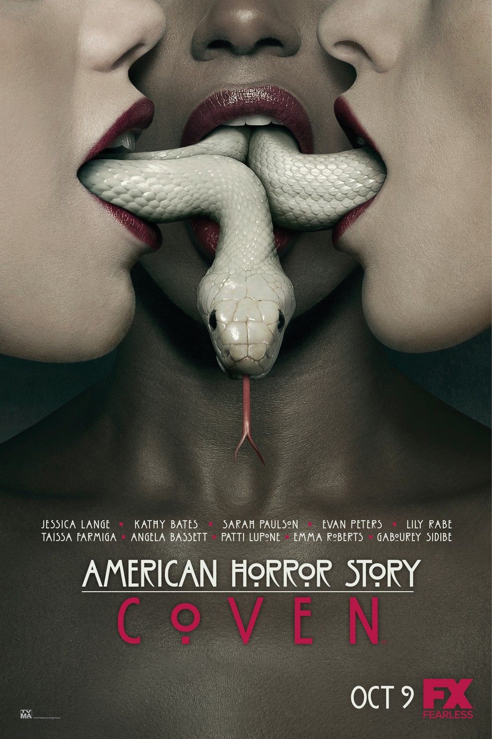 Extra Large TV Poster Image for American Horror Story (#13 of 175)