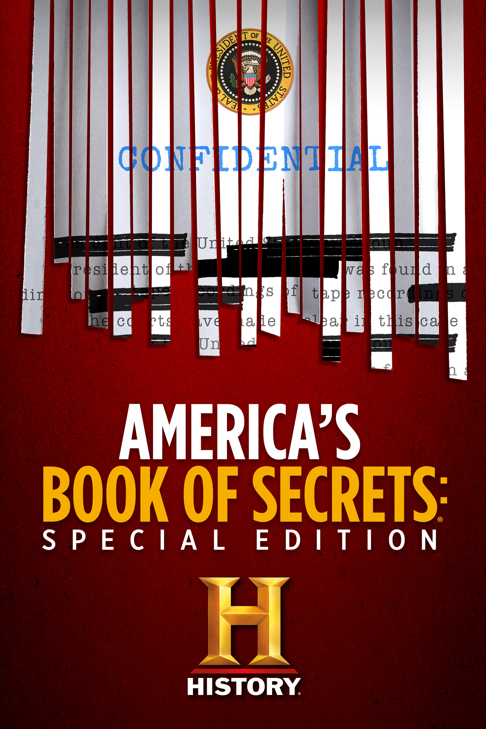 Mega Sized TV Poster Image for America's Book of Secrets: Special Edition 