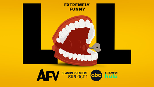 America's Funniest Videos Movie Poster