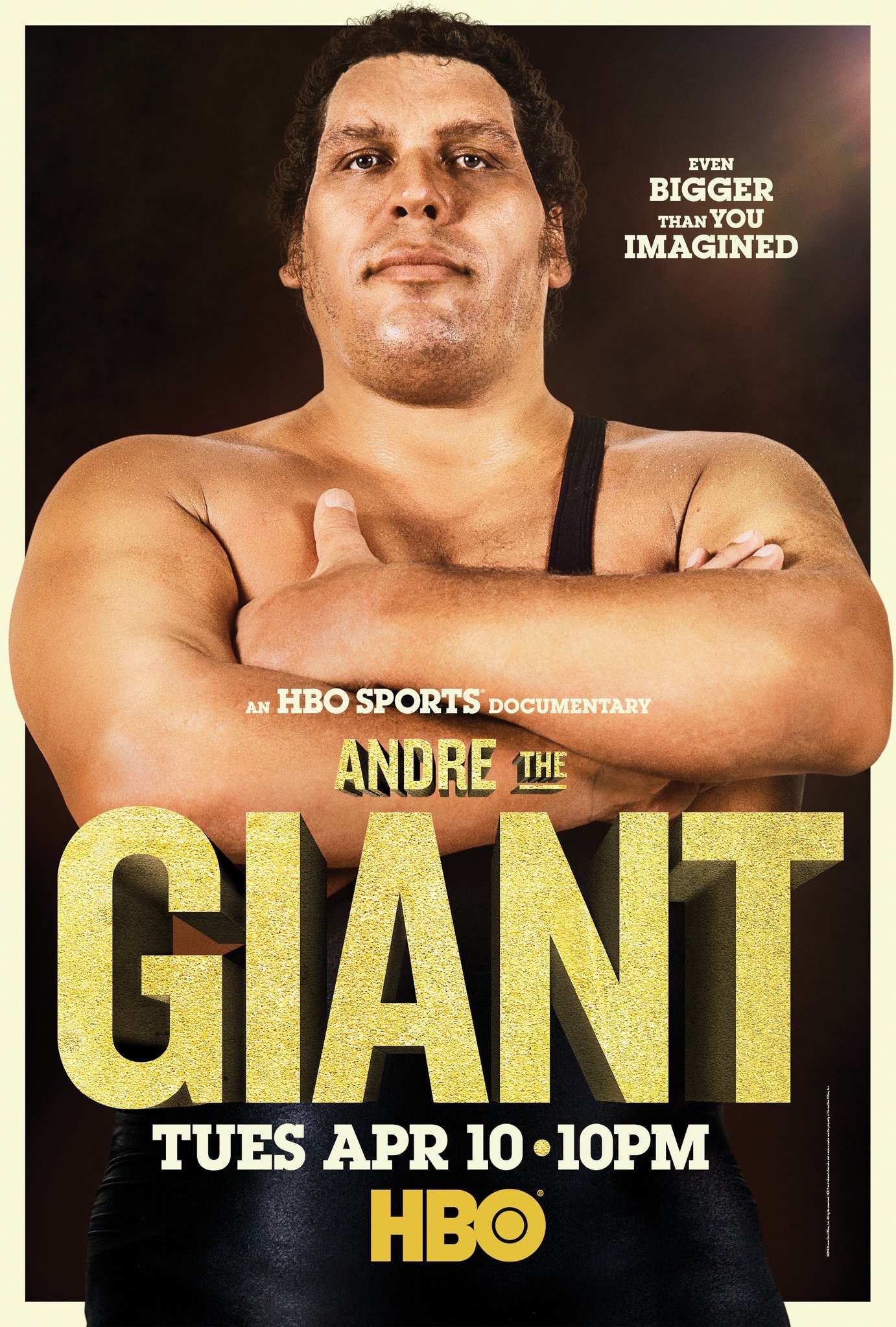 Mega Sized TV Poster Image for Andre the Giant 