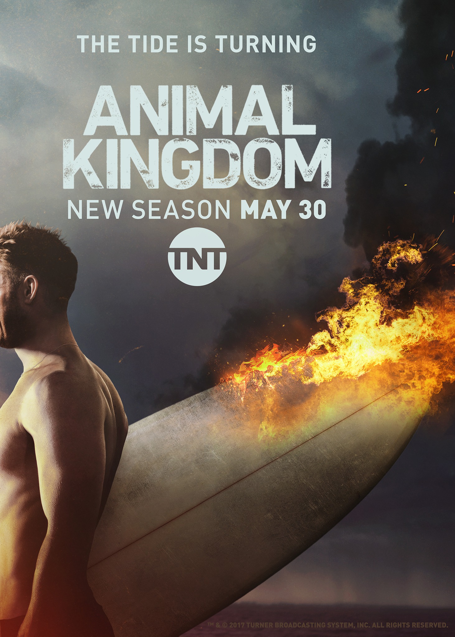 Mega Sized TV Poster Image for Animal Kingdom (#2 of 6)