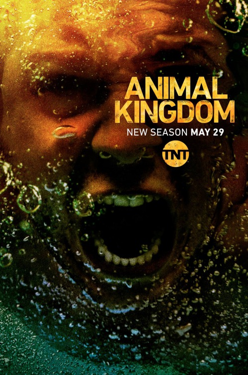 Animal Kingdom TV Poster (#3 of 6) - IMP Awards