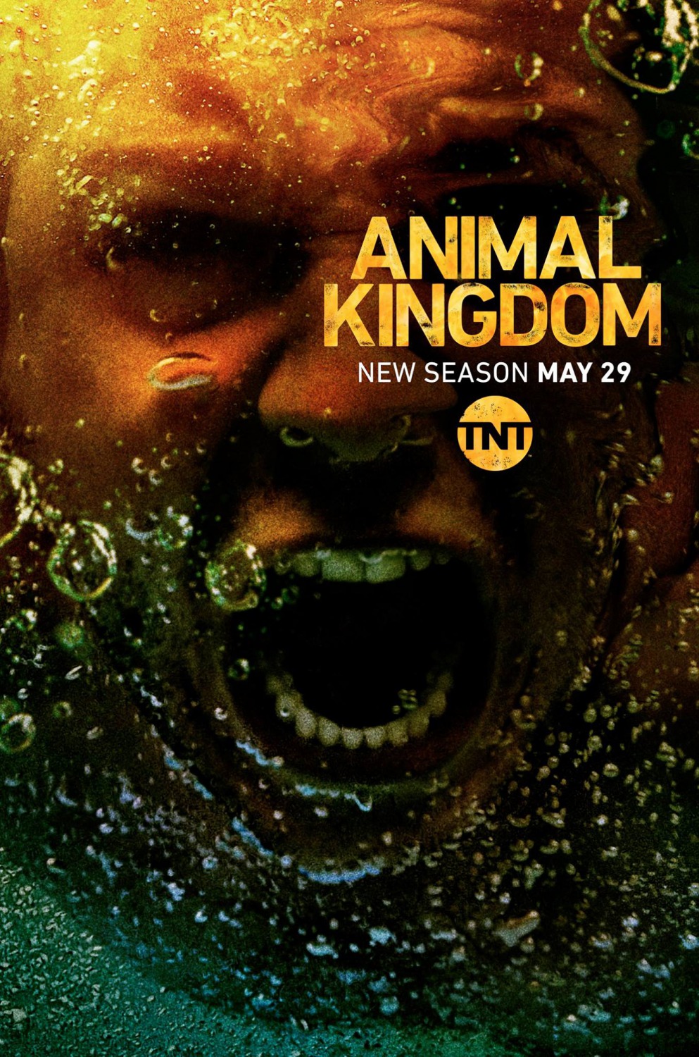 Animal Kingdom (#3 of 6): Extra Large Movie Poster Image - IMP Awards