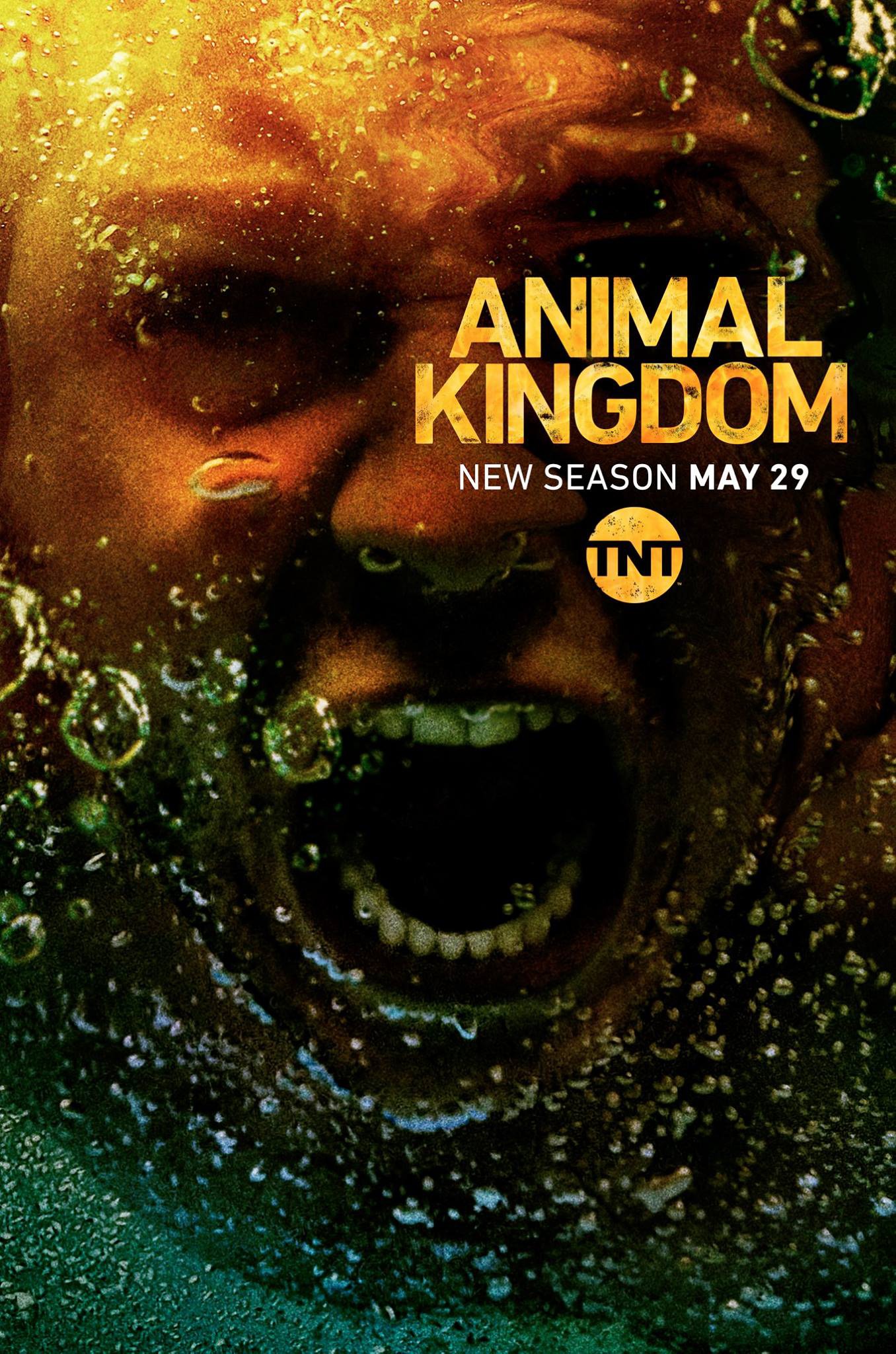 Mega Sized TV Poster Image for Animal Kingdom (#3 of 6)