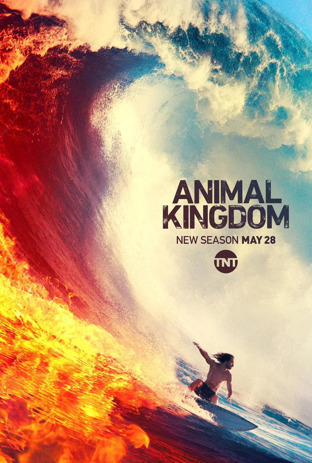 Extra Large TV Poster Image for Animal Kingdom (#4 of 6)