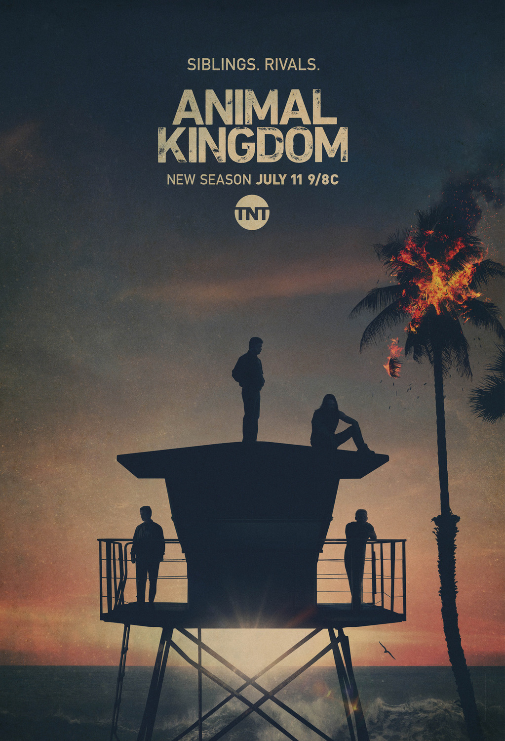 Extra Large TV Poster Image for Animal Kingdom (#5 of 6)
