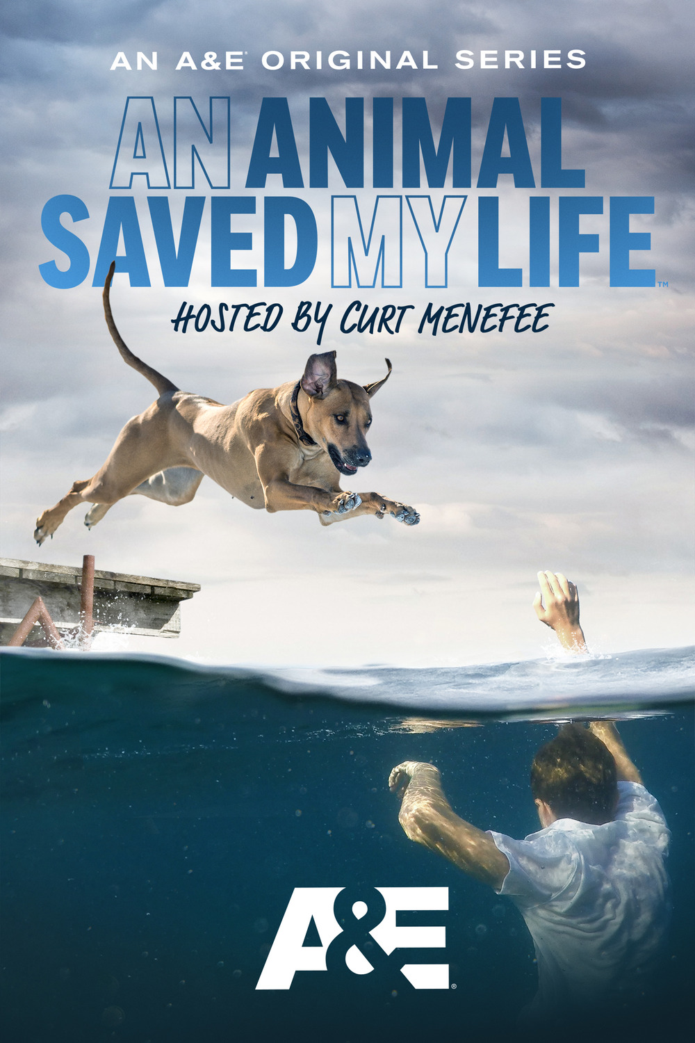 Extra Large TV Poster Image for An Animal Saved My Life 