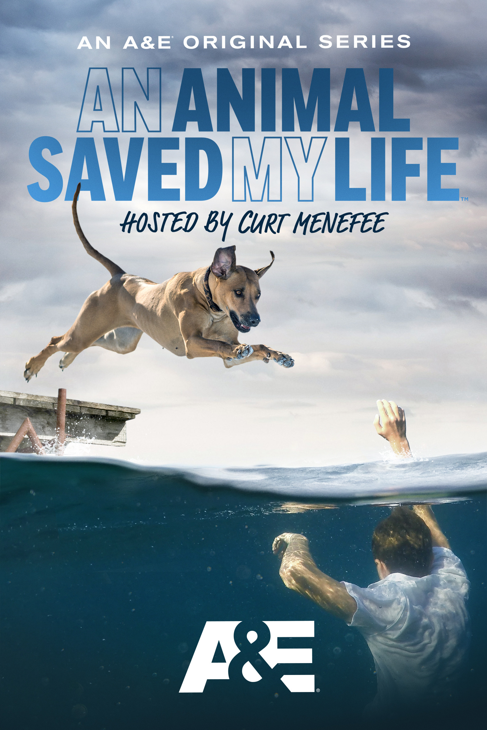 Mega Sized TV Poster Image for An Animal Saved My Life 