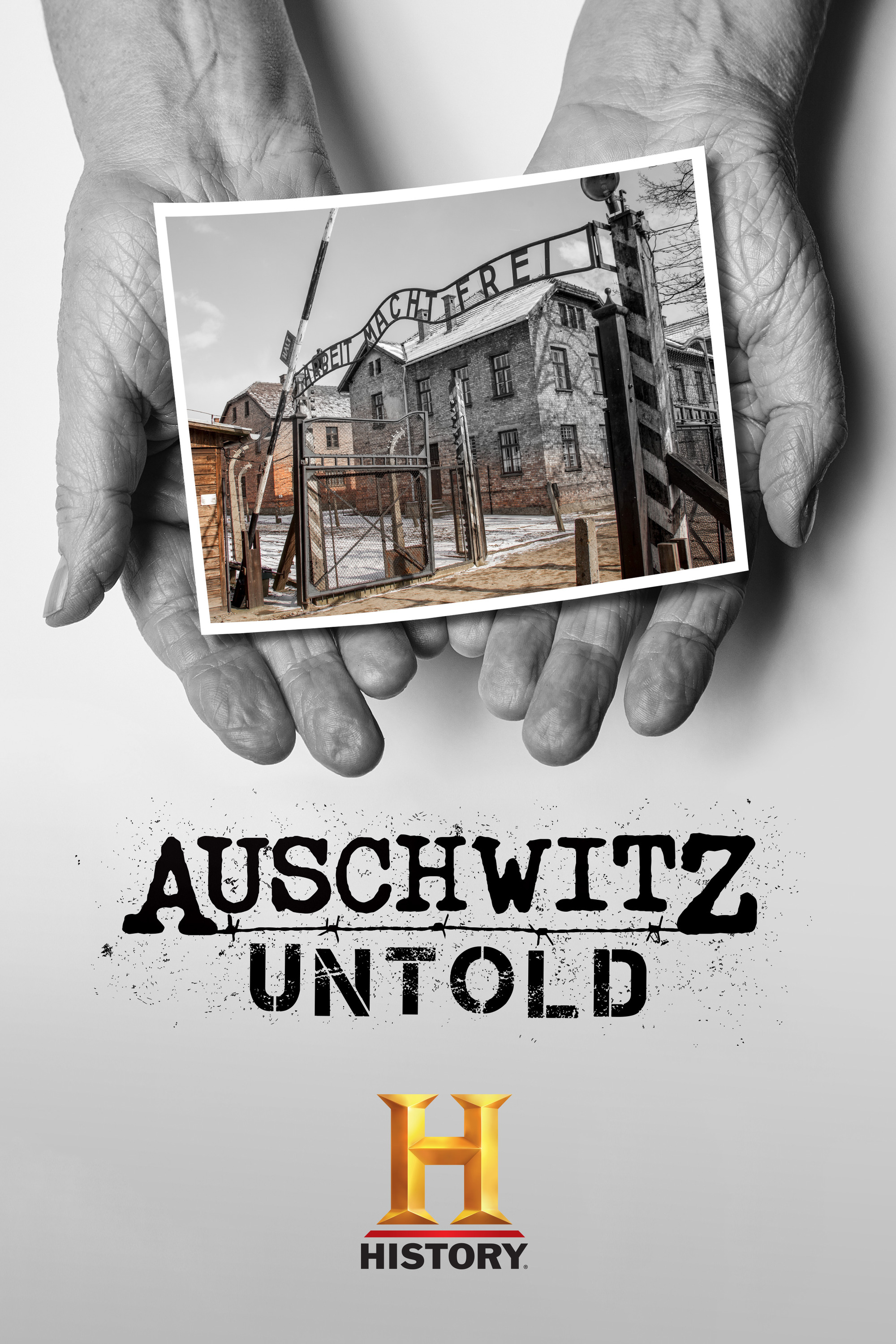Mega Sized TV Poster Image for Auschwitz Untold in Color 