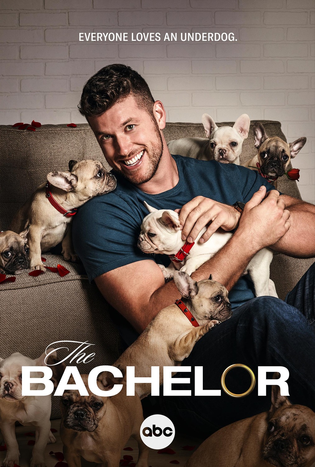 Extra Large TV Poster Image for The Bachelor (#9 of 11)