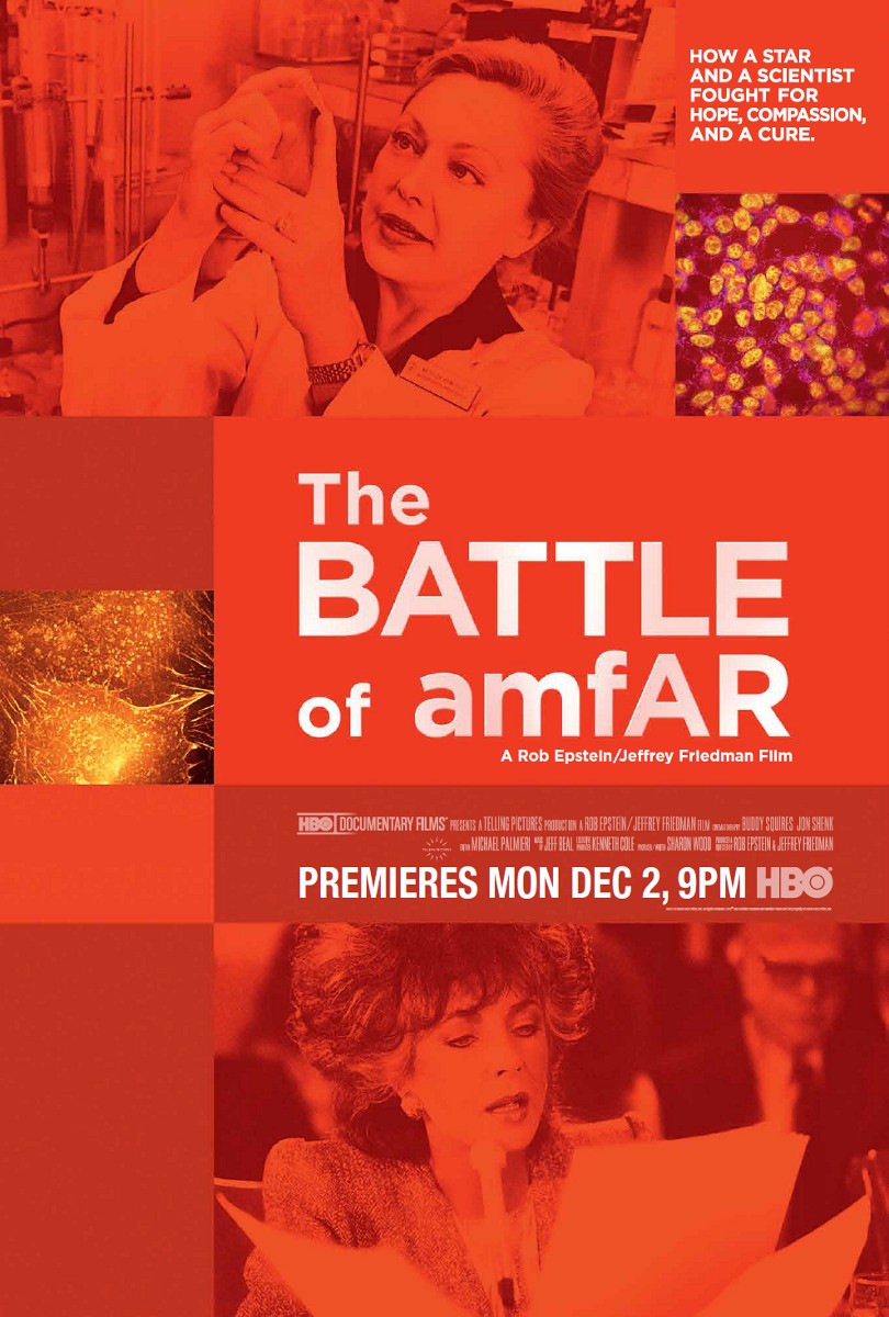 Extra Large TV Poster Image for The Battle of Amfar 
